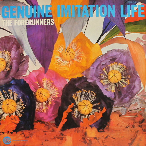 Genuine Imitation Life