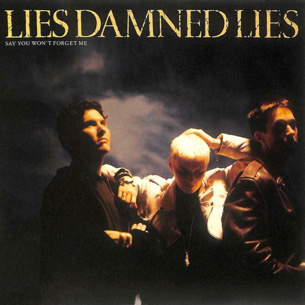 Say You Won't Forget Me [7-inch single]