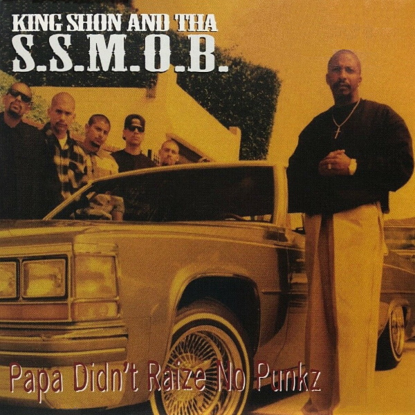 Papa Didn't Raize No Punkz