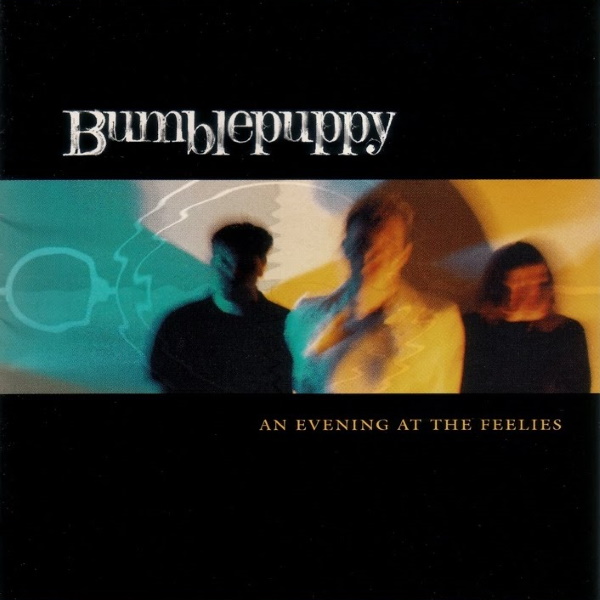 Bumblepuppy - An Evening At the Feelies