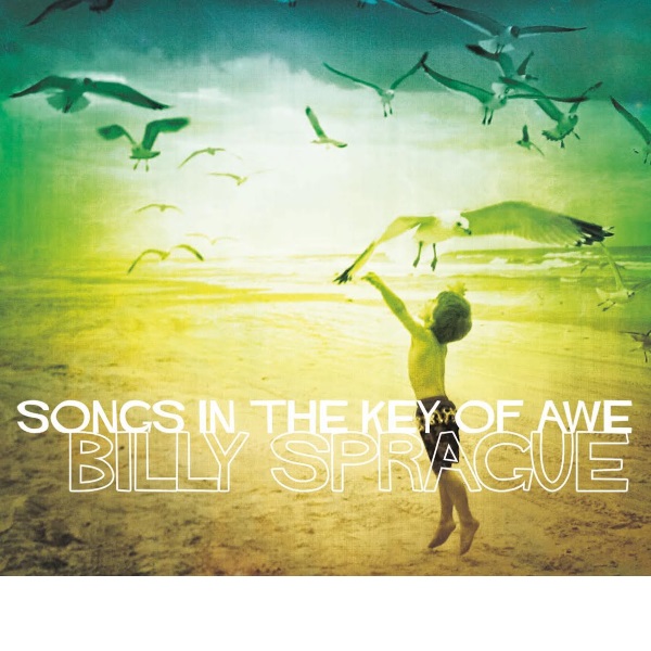 Songs in the Key of Awe