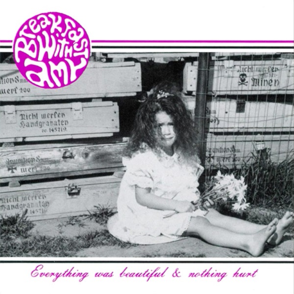 Everything Was Beautiful & Nothing Hurt