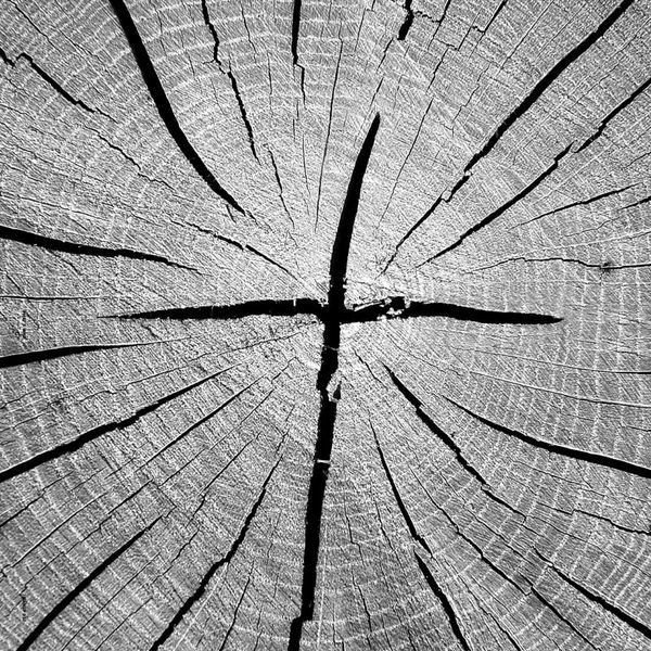 That's Why - The Best of That's Why