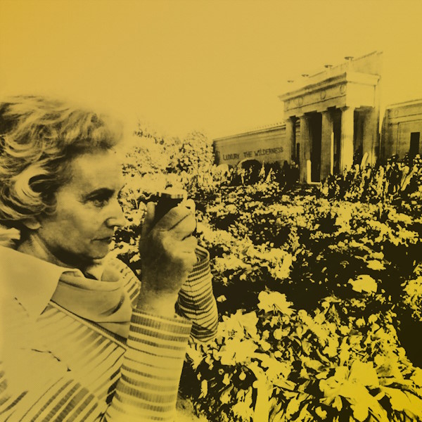 The Wilderness (The Color of Gold) [Digital single]