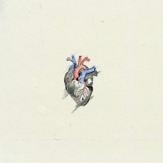 Heartbeat (feat. Evan and Eris) [Digital single]