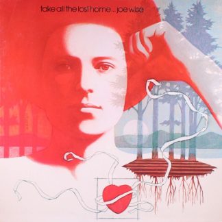 Joe Wise - Take All The Lost Home