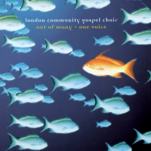 Out of Many - One Voice